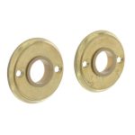 Intersteel rozetten ø50x5mm messing getrommeld