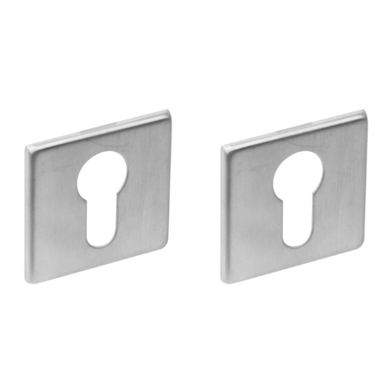 Intersteel cilinderrozetten verdekt 50x50x5mm rvs