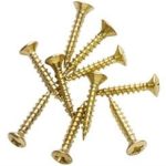 Intersteel 25 Houtschroeven messing Gelakt 3,5X20MM