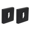 Intersteel sleutelrozetten verdekt 55x55x10mm met nokken zwart