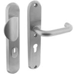 Veiligheidsbeslag PC55 met kerntrek beveiliging geveerd greep/kruk SKG3 rvs