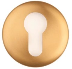 Cilinderplaatje NOUR EVBY52 PVD mat Goud
