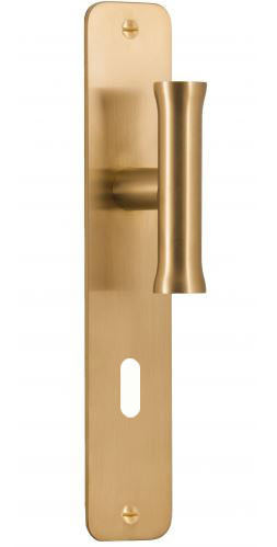 Knopschild NOUR EV102VP211N72 SL72 PVD mat Goud