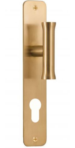 Knopschild NOUR EV102VP211Y55 PC55 PVD mat Goud