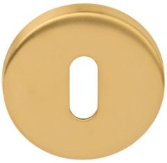 Sleutelplaatje BASIC LBN50 6 mm PVD mat Goud