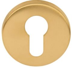 Cilinderplaatje BASIC LBY50 6 mm PVD mat Goud