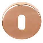 Sleutelplaatje BASIC LBN50 6 mm PVD gepolijst Koper