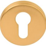 Cilinderplaatje BASIC LBY50D 10 mm PVD mat Goud