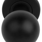 Voordeurknop Vast op Rozet rvs/zwart