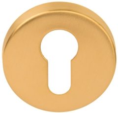 PC-Plaatje Rond D10 PVD mat Goud