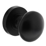 Intersteel knop vast op ronde rozet mat zwart