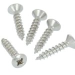 50 Houtschroeven vernikkeld 3x16 mm