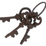 Gietijzeren Sleutelbos Klein