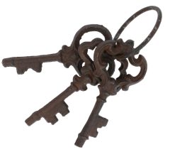 Gietijzeren Sleutelbos Klein