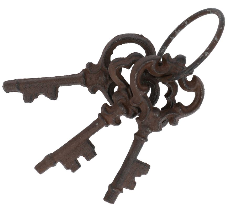 Gietijzeren Sleutelbos Klein