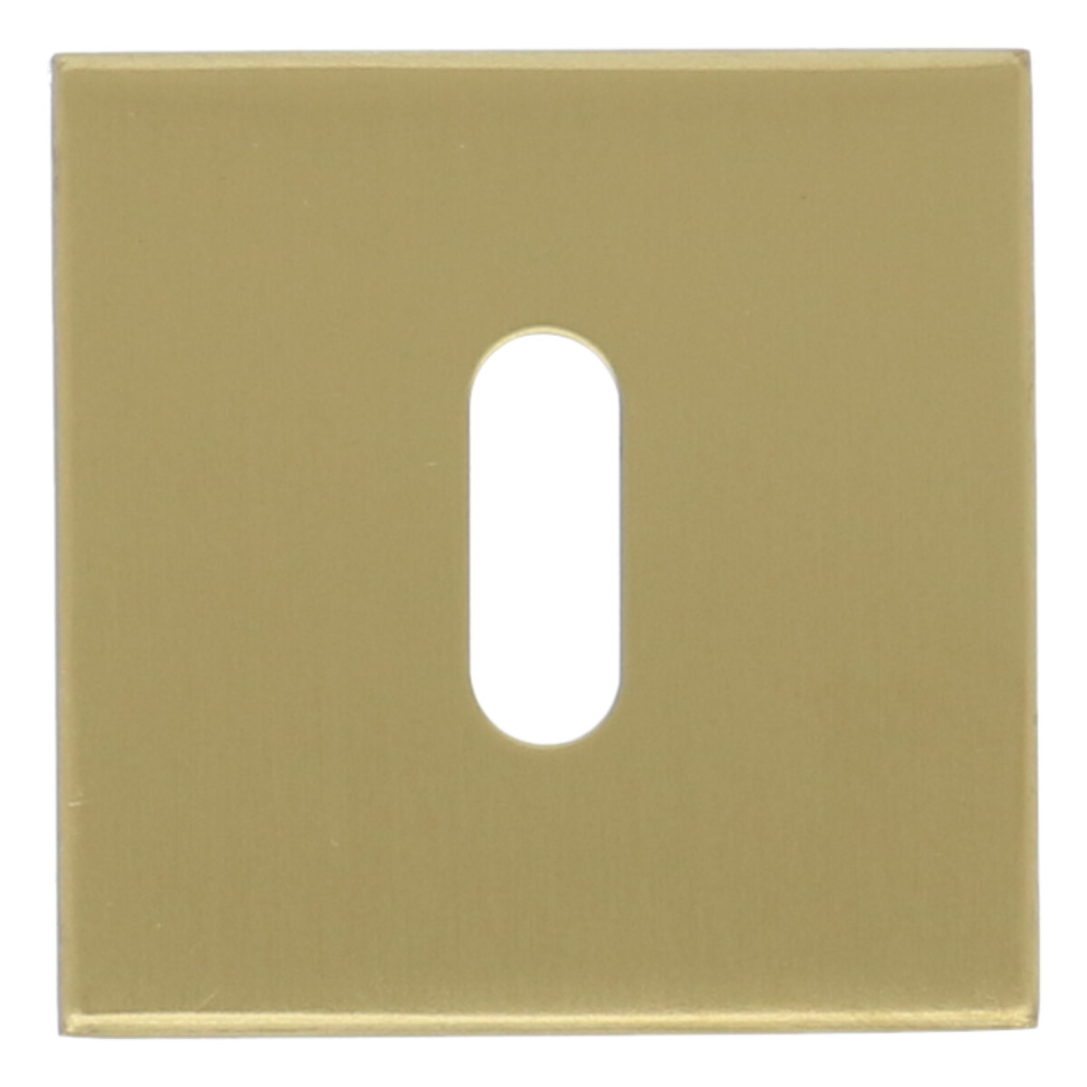 Sleutelplaatje Vierkant 53x53x10 PVD mat Goud