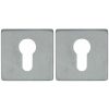 2 PC-Plaatjes Vierkant 53x53x8 rvs