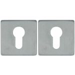 2 PC-Plaatjes Vierkant 53x53x8 rvs