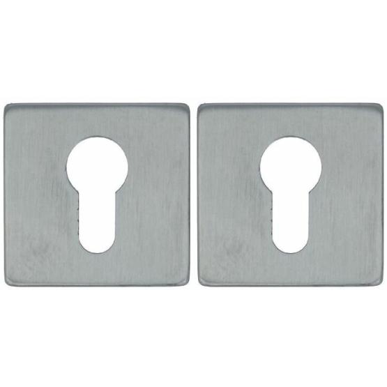2 PC-Plaatjes Vierkant 53x53x8 rvs