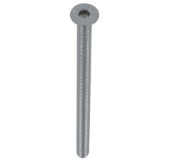 Bout M6x100 VK-inbus tbv VH-schilden rvs