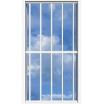 SecuBar Lichtkoepelbeveiliging Fix & Go - 5 spijls 1000x2000 mm