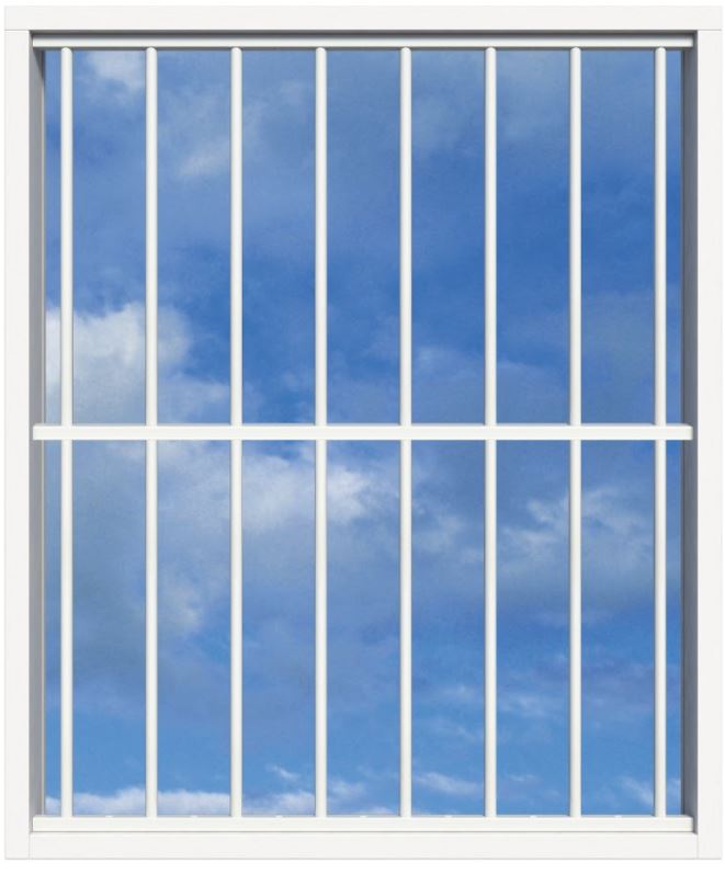 SecuBar Lichtkoepelbeveiliging Fix & Go - 8 spijls 1500x2000 mm