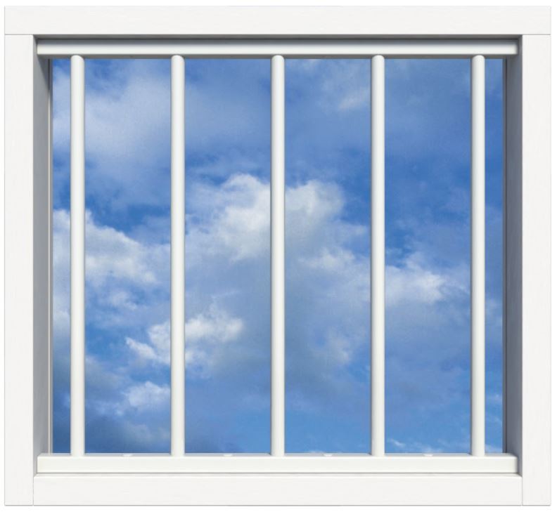 SecuBar Lichtkoepelbeveiliging Fix & Go - 5 spijls 1000x1000 mm