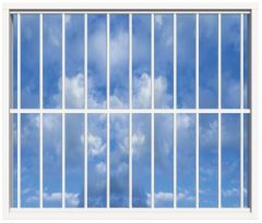 SecuBar Lichtkoepelbeveiliging Fix & Go - 11 spijls 2000x2000 mm