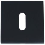 Sleutelplaatje BASIC BSQN53 mat zwart