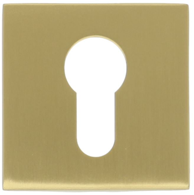 Cilinderplaatje BASIC BSQY53 PVD mat goud