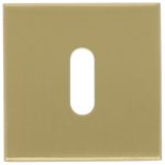 Sleutelplaatje BASIC BSQN53 PVD mat goud