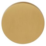 Blind plaatje ECLIPSE DRB53 PVD mat goud