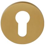 Cilinderplaatje ECLIPSE DRY53 PVD mat goud