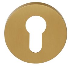 Cilinderplaatje ECLIPSE DRY53 PVD mat goud