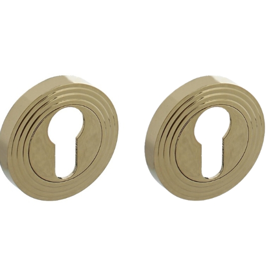 Intersteel cilinderrozetten verdekt met rillen ø54x9mm en nokken PVD messingkleur