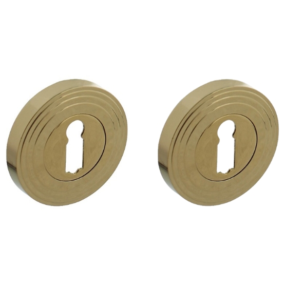 Intersteel sleutelrozetten verdekt met rillen ø54x9mm en nokken PVD messingkleur