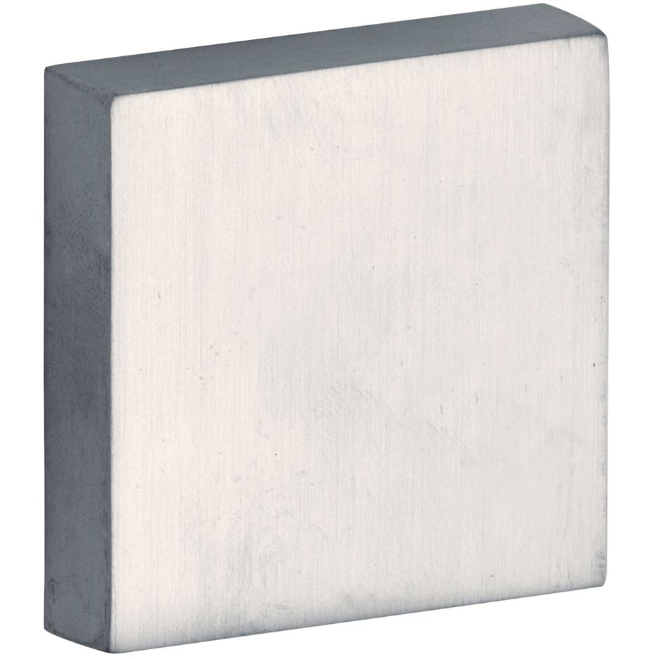 SKG3 blindrozet buiten Bauhaus mat nikkel PVD