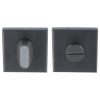 Toiletgarnituur BASIC BSQWC53ZI Blind PVD Gunmetal