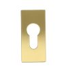 Cilinderplaatje SQUARE LSQBY32 Rechthoekig PVD mat Goud
