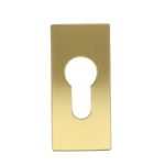 Cilinderplaatje SQUARE LSQBY32 Rechthoekig PVD mat Goud