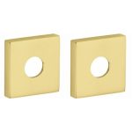 Set van twee krukrozetten Bauhaus verdekt messing gelakt