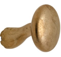 Knop Paddenstoel tbv SKG schild messing antiek