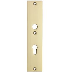 SKG3 rechthoekig schild PC92 binnen messing gelakt