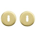 AXA rozet sleutelgat aluminium goud