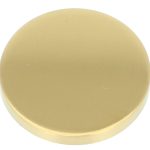 Blindplaatje Rond verdekt PVD mat goud