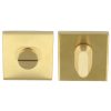 WC-sluiting vierkant blind 53x53x10 mm PVD mat goud