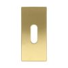 Sleutelplaatje rechthoekig verdekt PVD mat goud