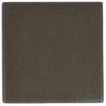 Blindplaatje Vierkant 53x53x10 brons