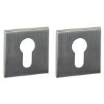 Intersteel cilinderrozetten verdekt 53x53x6mm rvs