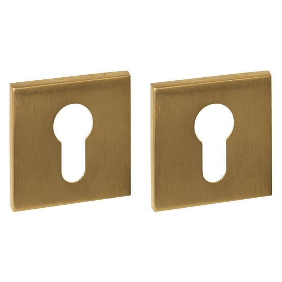 Intersteel cilinderrozetten verdekt 53x53x6mm pvd messing mat